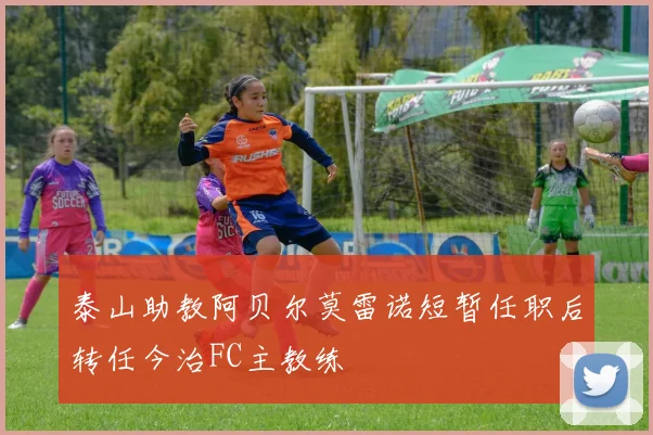 泰山助教阿贝尔莫雷诺短暂任职后转任今治FC主教练